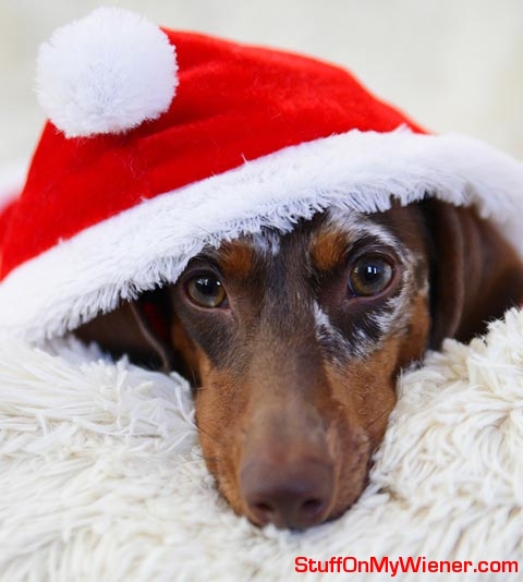 S'mores in a Santa hat.