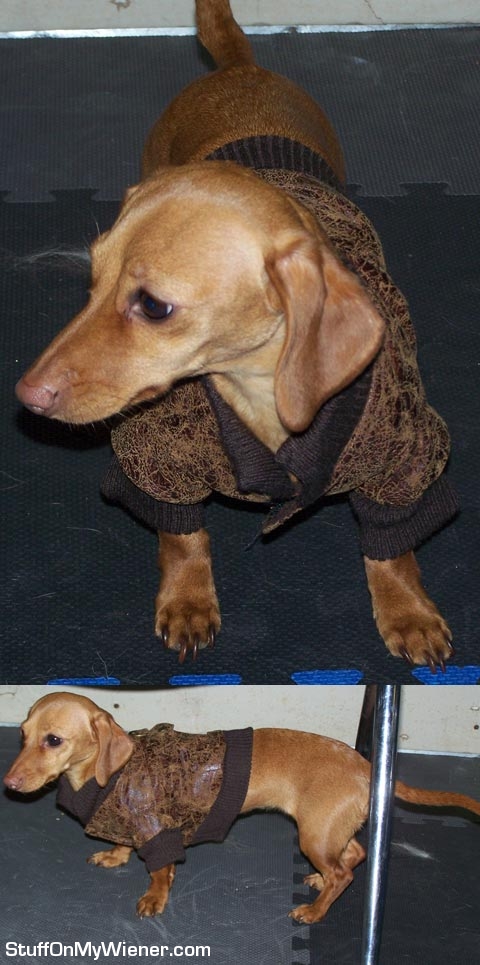 Brandee in her bomber jacket.