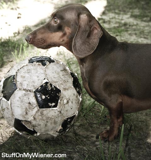 Petey and his soccer ball.