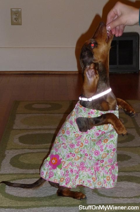 Gretel in her new dress.