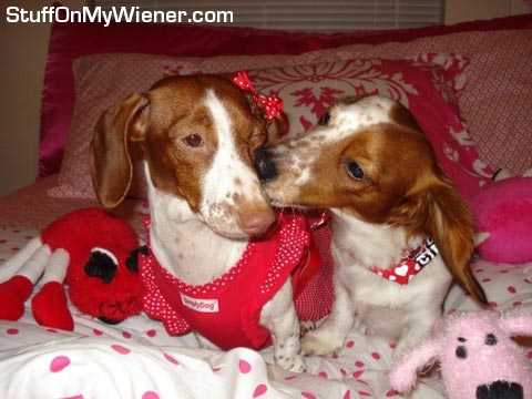 Kody and Lilly on Valentine's day.