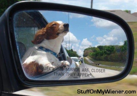 Kody out window in wind.