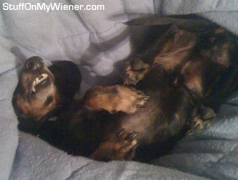 Prince Charming wiped out in bed.