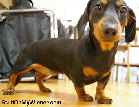 Heuksim says hello to the camera.