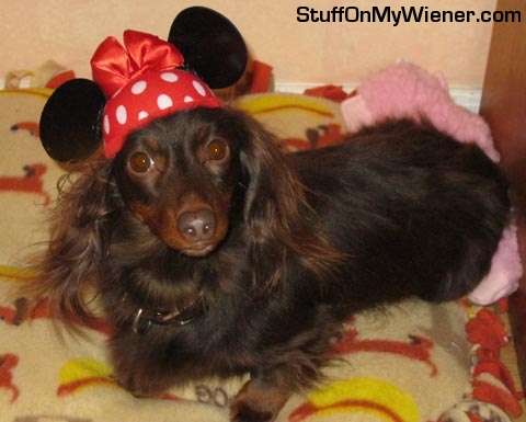 Addie as Minie Mouse