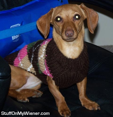 Brandee in an argyle sweater.