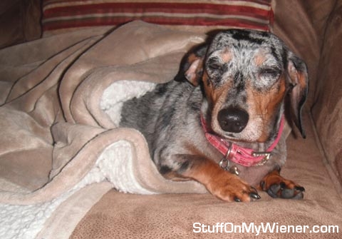 Chloe after a bee sting.