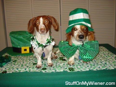 Kody and Lilly St. Patrick's outfits.