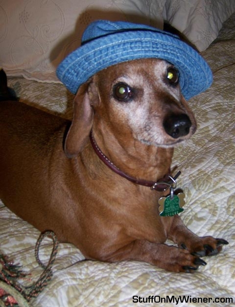 Beans in a hat.