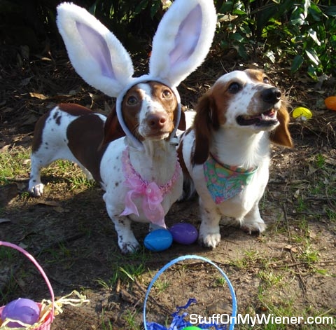 Kody and Lilly Easter egg hunt.