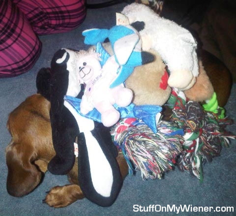 Zoey under a pile of toys.