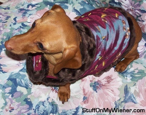 Brandee in her stole.