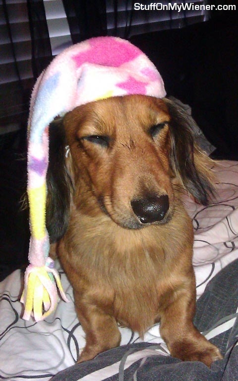 Cole in his nightcap.