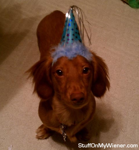 Kirby in a birthday hat.