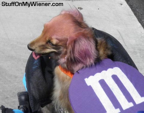 Savannah in M&M costume.