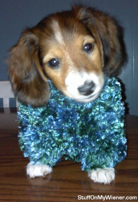 Cupcake in a blue jumpsuit.