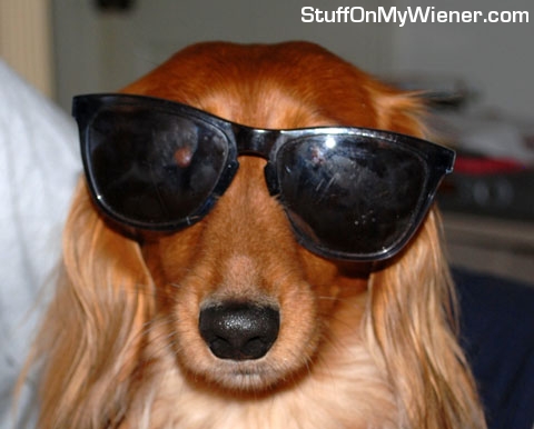 Lukas in sunglasses.