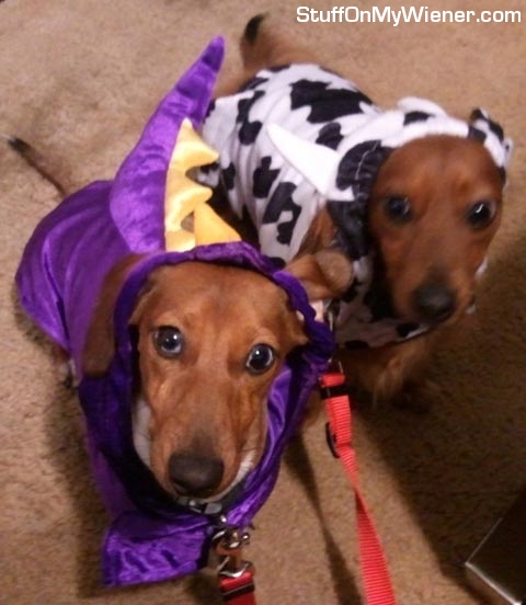 Milo and Jude in costumes.