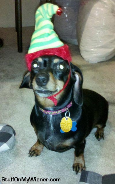 Missy Shcnitzel in elf hat.