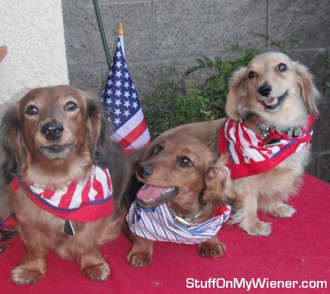 Schatzi, Savannah, and Brandee 4th of July