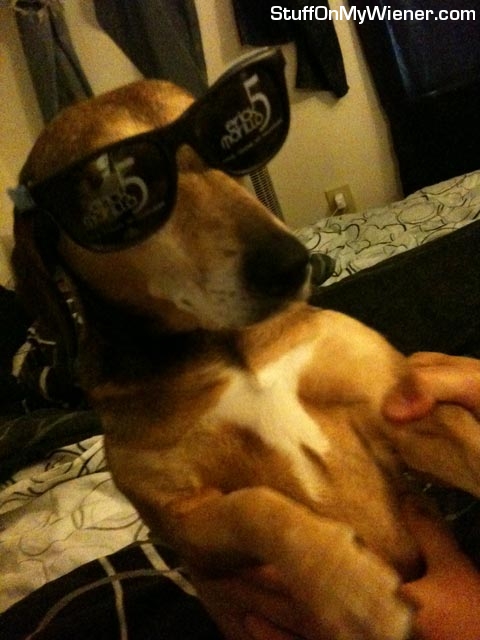 Sophie with sun glasses.