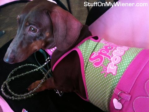 Anya in her stroller and spoiled shirt.