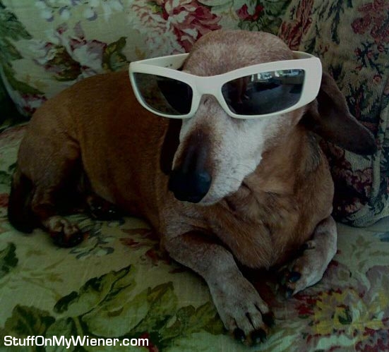 Beans with sunglasses.