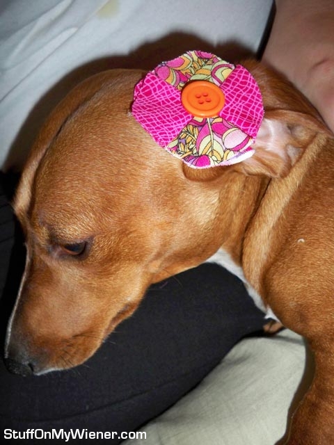 Lyla with a button hair clip.