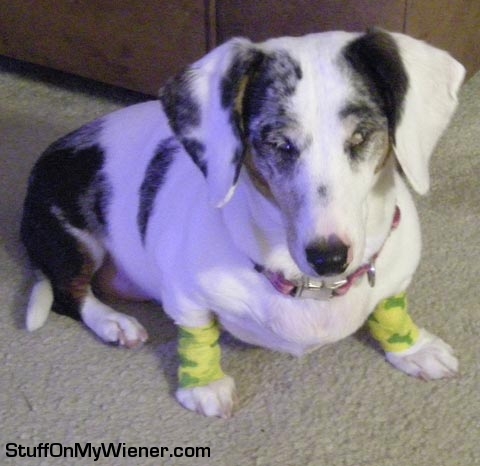 Mimi with leg warmers.