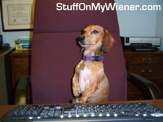 Rhett standing up in a chair.