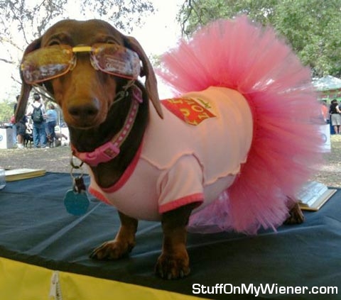 Anya in a tutu with doggles on.