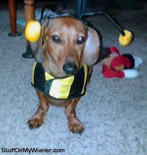 Greta in a bee costume.