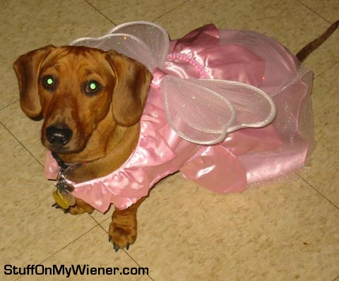 Miss Molly as a fairy.