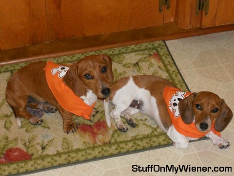 Penny & Sadie's first halloween.
