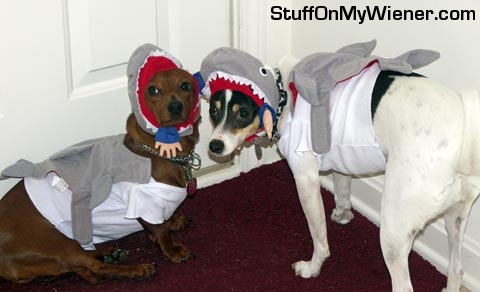 Turbo and Beryl as sharks.