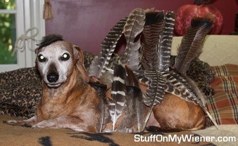 Beans as a Turkey for Halloween.