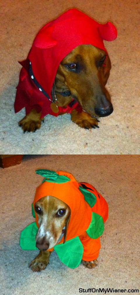 Nathan and Frankie in halloween costumes.