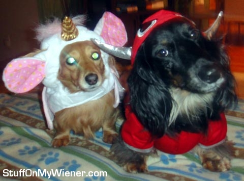 Amber and Tag in costumes.