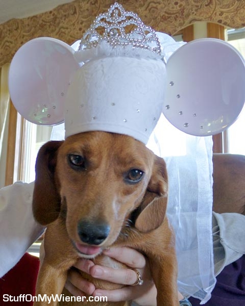 Betsy in mouse ear veil.