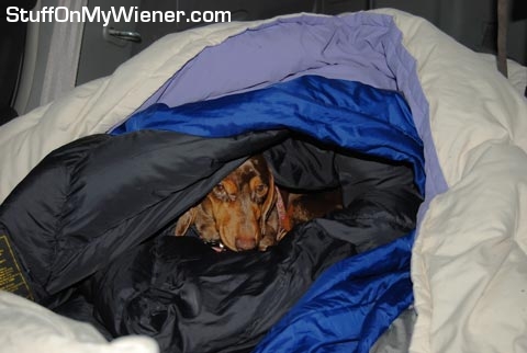Gretel in a sleeping bag.