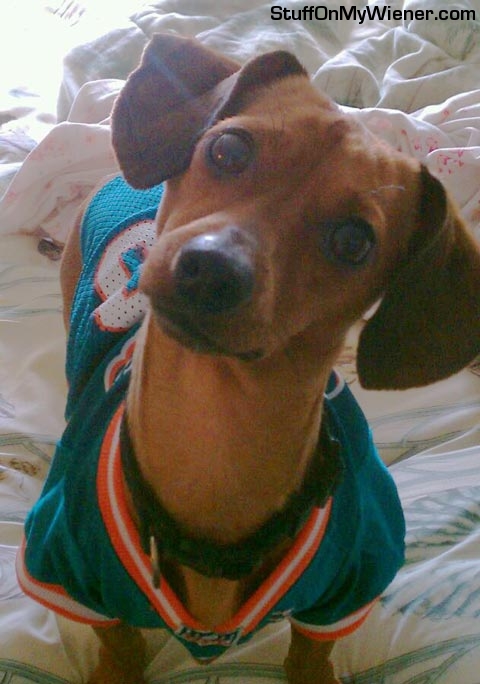 Obie in a football jersey.