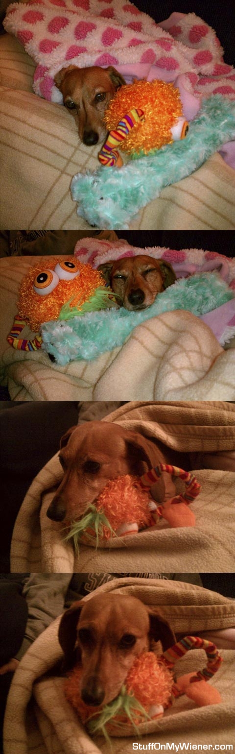 Penny and JR pillow.