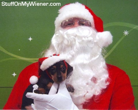 Frodo on Santa's lap.