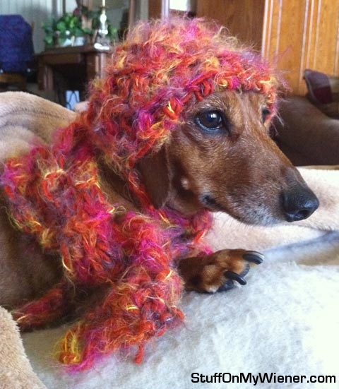 Lexie in a knitted hat and scarf.
