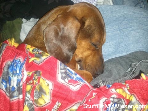 Maxx sleeping under Transformers pajamas