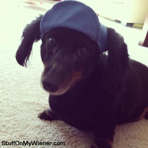 Rocky wearing a rally cap.