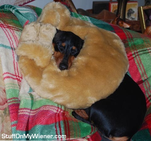 Gigi with a hug pillow.