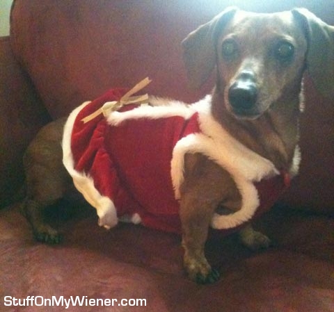Maddie in a Christmas dress.