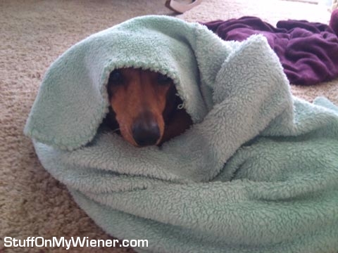 Pebbles under a blanket.