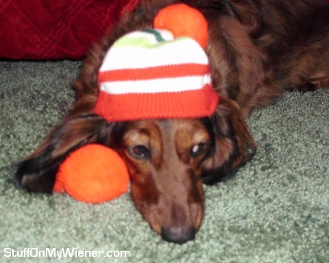 Enzo wearing a beanie.